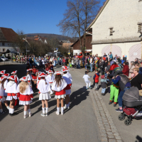 FasnetMentig2025_0052