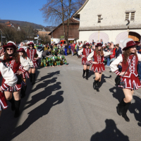 FasnetMentig2025_0060