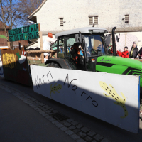 FasnetMentig2025_0078