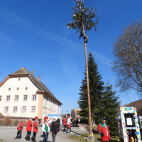 FasnetZischtig2025_0003