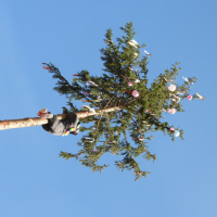 FasnetZischtig2025_0006