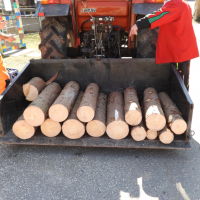 FasnetZischtig2025_0059